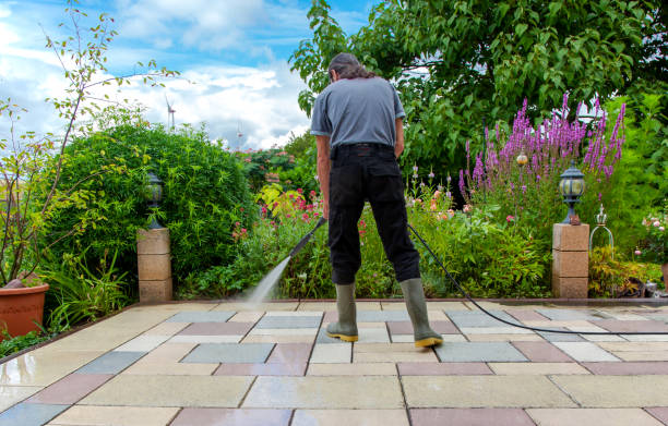 Best Driveway Cleaning and Restoration in Flemington, NJ